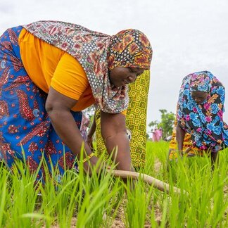 Deux femmes travaillent dans un champ.