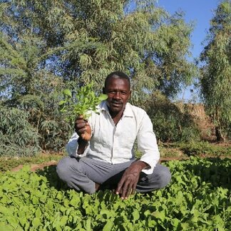 Abdelkareem Haroon, qui a travaillé dans le jardin de l'école, tenant les feuilles Rocca, qui sont cultivées dans le jardin.