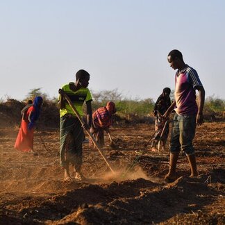 Resilience - Ethiopie 