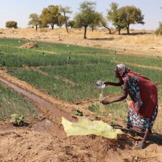 Une femme puise de l'eau dans un canal d'irrigation alimenté par une pompe à énergie solaire à Barde. Photo : PAM /Petroc Wilson