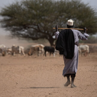 A shepherd tending to his flock