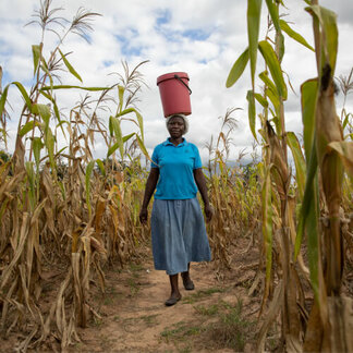 Woman is walking with a bucket on her head