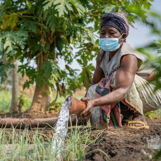 Une femme arrose son champ. Photo: PAM/Badre Bahaji