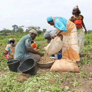 Des agriculteurs dans leurs champs avec l'aide du PAM pour améliorer la production alimentaire au Cameroun